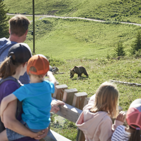 Arosa Bärenland (Foto: © Arosa Tourismus) Arosa Bärenland