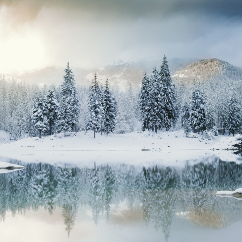 Mystische Stimmung am Caumasee