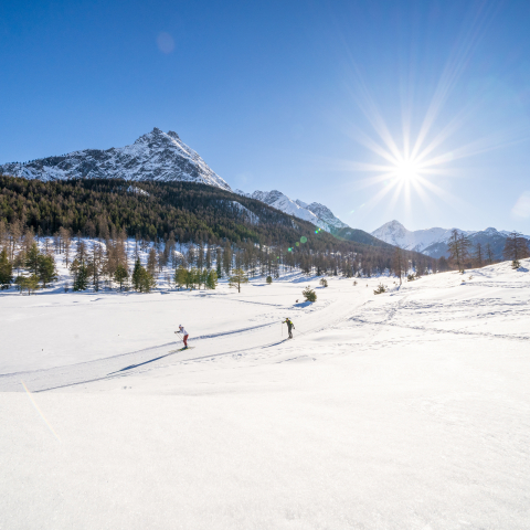 Langlaufloipe am Lai Nair