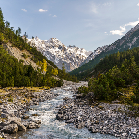 Schweizerischer Nationalpark (Foto: © Marco Hartmann, Graubünden Ferien) Schweizerischer Nationalpark