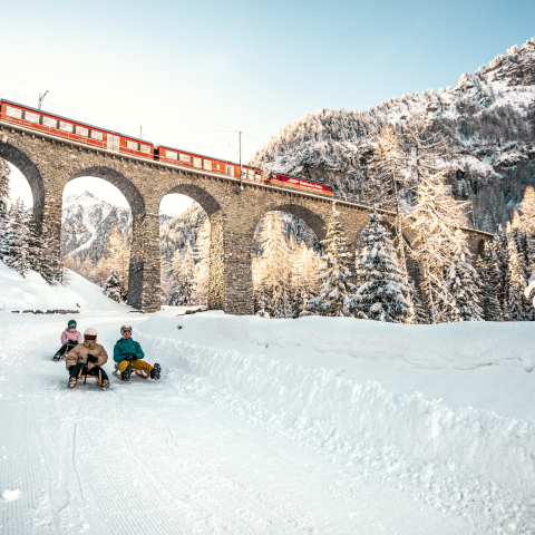 Slittino sul famoso percorso di 6 km da Preda a Bergün