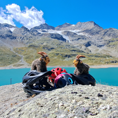 Bergpanorama am Lago Bianco (Foto: © Patrick Dreher, Graubünden Ferien) Bergpanorama am Lago Bianco