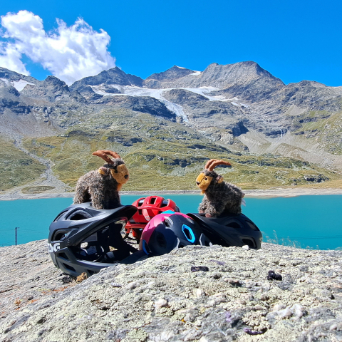 Bergpanorama am Lago Bianco (Foto: © Patrick Dreher, Graubünden Ferien) Bergpanorama am Lago Bianco