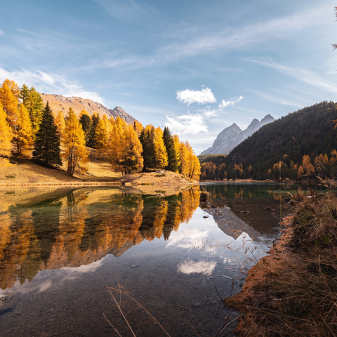 Der Lai da Palpuogna am Albulapass gilt als einer der schönsten Bergseen der Schweiz (Foto: © Marco Hartmann) Herbststimmung am Lai da Palpuogna mit goldgelben Lärchen und Bergpanorama