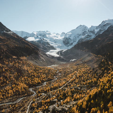 Morteratschgletscher im Engadin (Foto: ©️ The Alpinists) Morteratschgletscher im Engadin