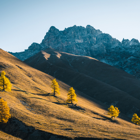 Val Trupchun im Schweizerischen Nationalpark