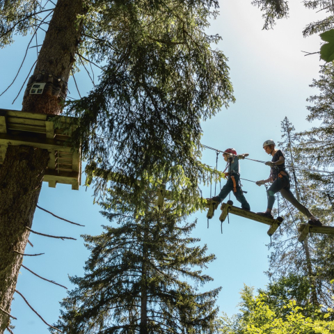 Im Hochseilpark von Baum zu Baum klettern
