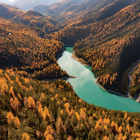 Herbststimmung am Lai dad Ova Spin im Engadin (Foto: © Nico Schaerer) Herbststimmung am Lai dad Ova Spin im Engadin