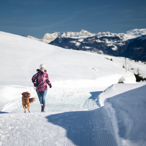 Winterwandern mit Hund auf dem Glaspass in der Ferienregion Viamala (Foto: © Marco Hartmann) Winterwandern mit Hund auf dem Glaspass in der Ferienregion Viamala