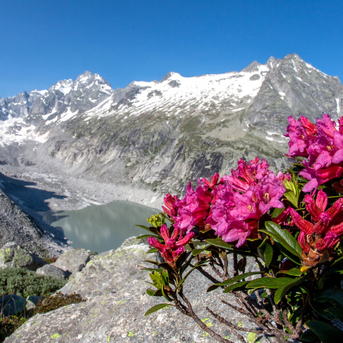 Aussicht auf den Lägh da Cavloc