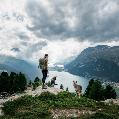 Eine Wanderin geniesst mit ihren beiden Hunden die Aussicht auf die Oberengadiner Seenplatte