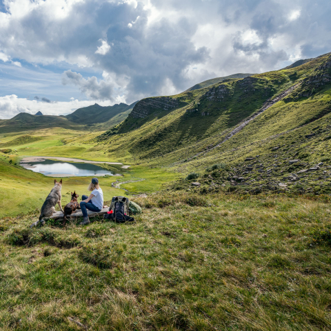 Berglandschaft in den Fideriser Heubergen (Foto: © Steve Hadorn) Eine Wanderin geniesst zusammen mit zwei Hunden die Ruhe und Aussicht in den Fideriser Heubergen