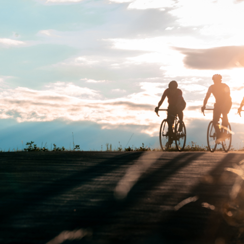 Gruppe Velofahrende im Abendlicht