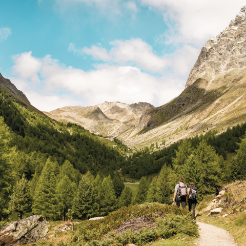 Wanderung zum Lago di Saoseo (Foto: © Schweiz Tourismus / Nicola Fuerer) Wanderung zum Lago di Saoseo