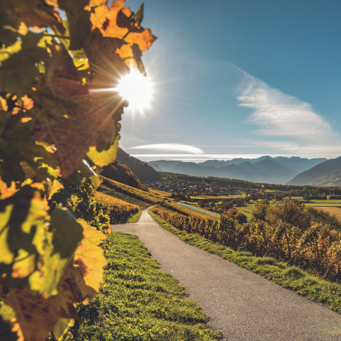 2010 erhielt Fläsch für seine Ortsplanung den Wakkerpreis des Schweizer Heimatschutzes (Foto: © Schweiz Tourismus / Tina Sturzenegger) Blick auf das Dorf Fläsch in der Weinregion Bündner Herrschaft
