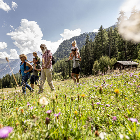 Die Nationalparkregion lädt zu spannenden Entdeckungsreisen ein (Foto: © Andrea Badrutt) Vier Erwachsene und zwei Kinder auf einer Wanderung im Engadin auf einer Blumenwiese.