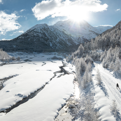 Langlaufen am Fusse des Morteratsch Langlaufen am Fusse des Morteratsch