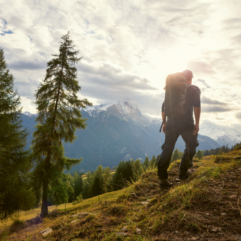 Mann auf einem Wanderweg im Parc Ela. (Foto: © Nico Schaerer) Mann auf einem Wanderweg im Parc Ela