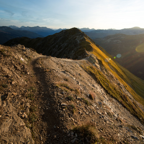 Mountainbike Trail auf dem Jakobshorn.