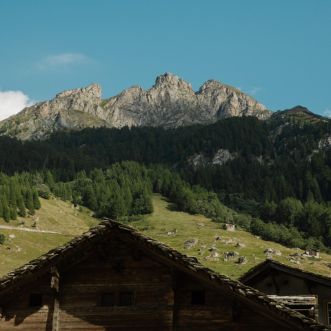 Dächer im Bergodrf Vals (Foto: © Schweiz Tourismus / Yves Bachmann) Dächer im Bergodrf Vals