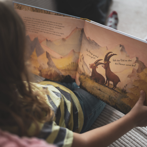 Das neue Abenteuer von Gian und Giachen – liebevoll illustriert für kleine und grosse Fans (Foto: © Marco Hartmann) Ein Kind blättert im Kinderbuch «Gian & Giachen und der Platzhirsch vom Lärchenwald» mit Illustrationen der beiden Steinböcke in den Bündner Bergen