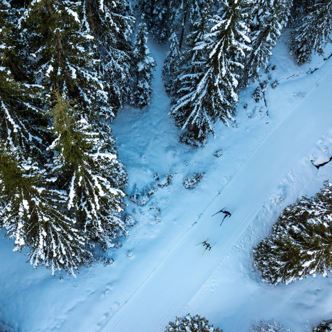 Loipe im Sertig bei Davos – Langlauf durch schneebedeckte Wälder fernab vom Trubel (Foto: © Filip Zuan) Zwei Langläufer auf Loipe im verschneiten Wald im Sertig bei Davos