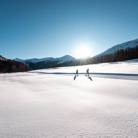 Langlaufen in Fuldera im Val Müstair, einer sonnigen Talregion im Unterengadin, bekannt für ruhige Winterlandschaften und bestens präparierte Loipen (Foto: © Filip Zuan) Zwei Langläufer auf sonniger Loipe im Val Müstair bei Fuldera