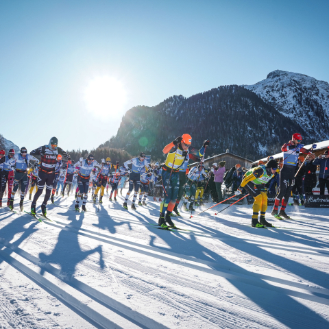 ChatGPT: Start eines Skilanglauf-Massenrennens bei Sonnenschein; viele Laeufer, lange Schatten, Berge und Zuschauer mit Fahnen im Hintergrund.