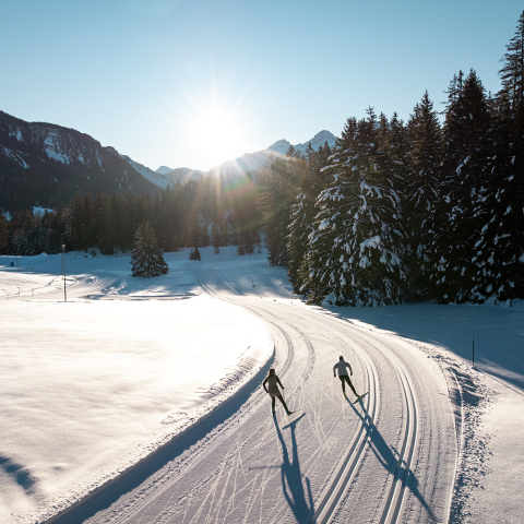 Zwei Langlaeufer gleiten auf einer verschneiten Loipe durch eine winterliche Berglandschaft auf der Lenzerheide.
