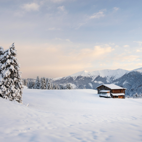Verschneite Berglandschaft mit schneebedeckten Tannen im Vordergrund, einer einzelnen Berghütte rechts und einer Reihe hoher, winterlicher Berggipfel im Hintergrund unter einem sanft bewölkten Himmel.