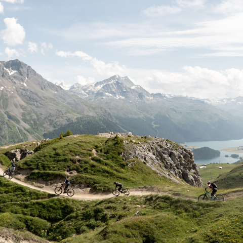 Eine Gruppe von Mountainbikerinnen auf einem kurvigen Trail in den Bergen