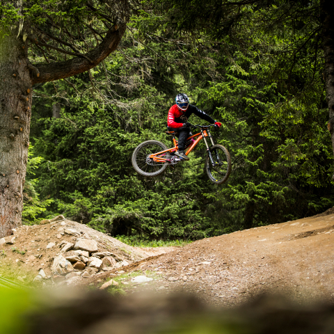 Ein Mountainbiker springt auf einer Freeride-Strecke im Bike Kingdom Park Lenzerheide mit seinem Downhill-Bike über eine Schanze