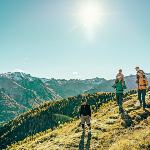 Zwei Erwachsene wandern mit drei Kindern über einen sonnigen Bergweg, umgeben von goldenen Lärchen und einem weiten Panorama der Bündner Alpen.