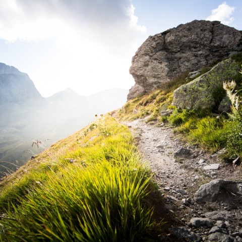Corviglia Flowtrail in Engadin St. Moritz Biketrail auf Corviglia in Engadin St. Moritz