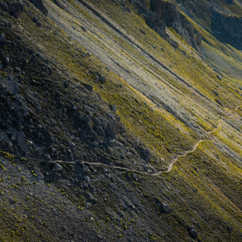 Mountainbike in Lenzerheide