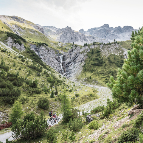 Mountainbiken in der Wildnis Mountainbiken in der Wildnis