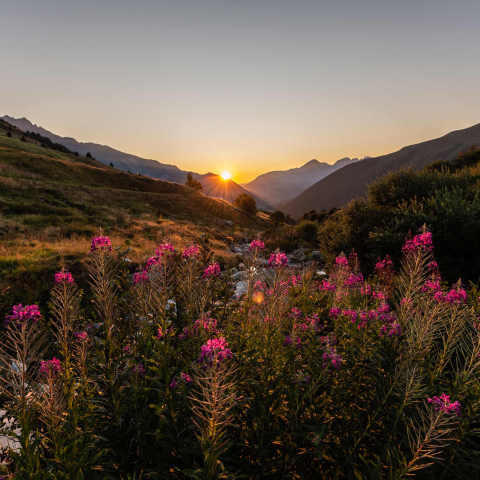 Sonnenuntergang in Disentis Sedrun (Foto: © Sedrun Disentis Tourismus SA / Mattias Nutt) Sonnenuntergang in Disentis Sedrun (Foto: © Sedrun Disentis Tourismus SA / Mattias Nutt)