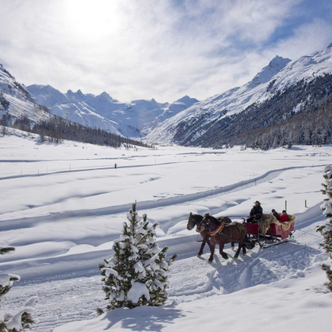 Arven- und Lärchenwälder umgeben von meterhohen Schneedecken und einer spektakulären Bergkulisse – das Rosegtal zählt nicht umsonst zu den schönsten Alpentälern der Schweiz (Foto: © Engadin St. Moritz Tourismus / Christof Sonderegger) Eine Pferdekutsche im winterlichen Val Roseg