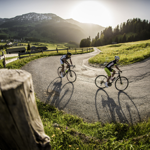 Roadcycling roadcycling.jpg