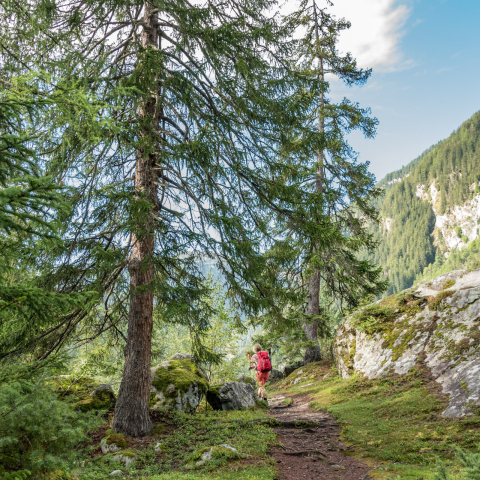 Walserweg Walserweg
