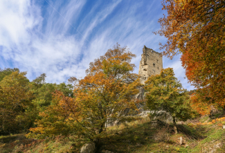 Burgruine Haldenstein im Herbst, umgeben von buntem Laub und blauem Himmel