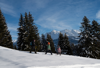 Schneeschuhwandern mit der Familie in Flims Laax Falera Schneeschuhwandern mit der Familie in Flims Laax Falera