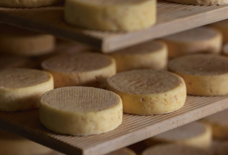 Bündner Bergkäse, Nufenen (© Nico Schärer) Bündner Bergkäse, Nufenen (© Nico Schärer)
