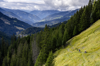 Supreme Mountainbiking, Heimeli Sapün Supreme Mountainbiking, Heimeli Sapün