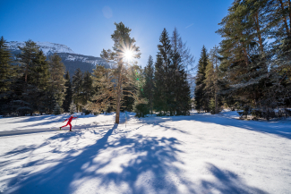 Langlaufen im Unterengadin (Foto: © Dominik Täuber)