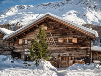 Chalet Acla Viglia Radons im Skigebiet Savognin (Foto: © Acla Viglia Radons) Chalet Acla Viglia Radons im Skigebiet Savognin (Foto: © Acla Viglia Radons)
