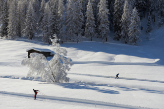 Langlaufloipen im Dischmatal (Foto: © Destination Davos Klosters / Stefan Schlumpf) Langlaufloipen im Dischmatal