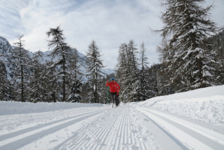 Langlaufloipe Morteratsch (Foto: © Pontresina Tourismus / Stephan Müller) Langlaufloipe Morteratsch