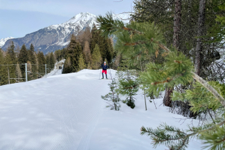 Langläufer in einem Waldabschnitt bei Zernez