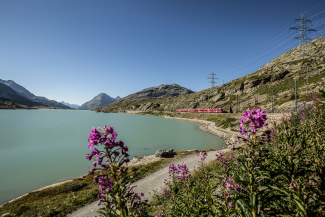 Lago Bianco (Foto: Valposchiavo Turismo) Lago Bianco